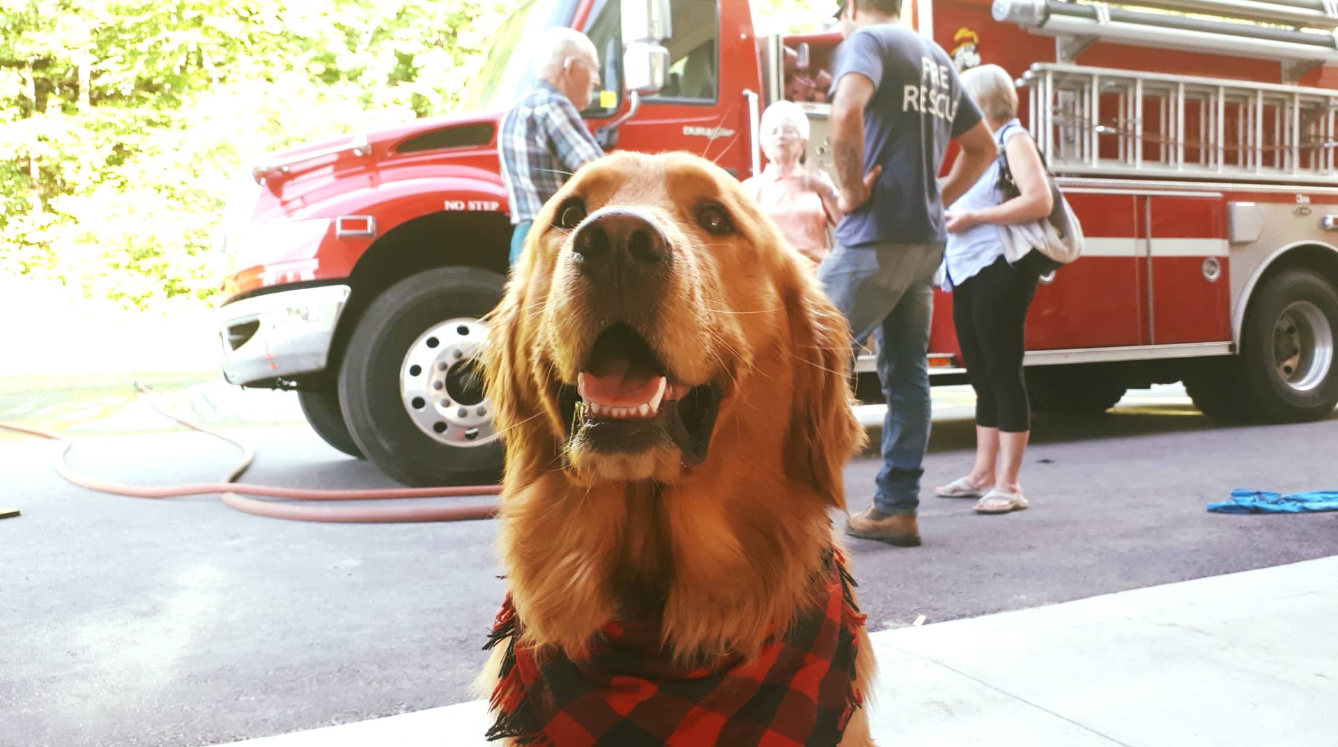 Dog with Fire Truck