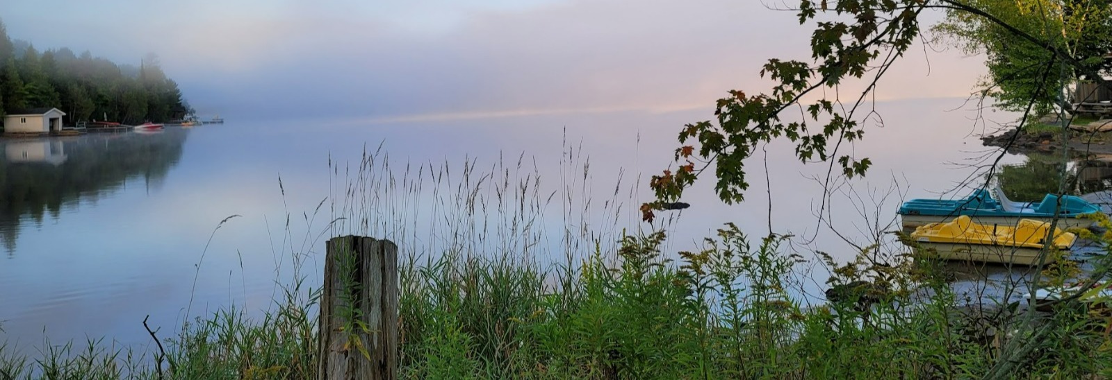 foggy morning on 12 Mile Lake in Minden Hills