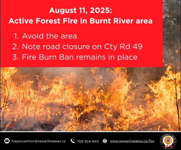 Burnt River Forest Fire City of Kawartha Lakes