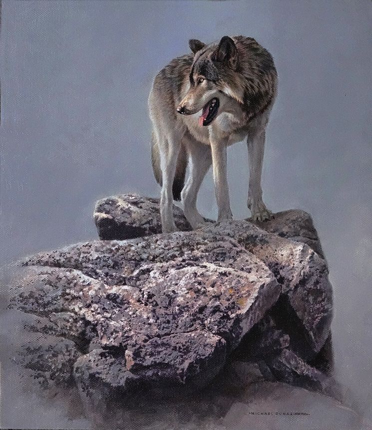 Michael Dumas Sentinel II Madawaska Granite