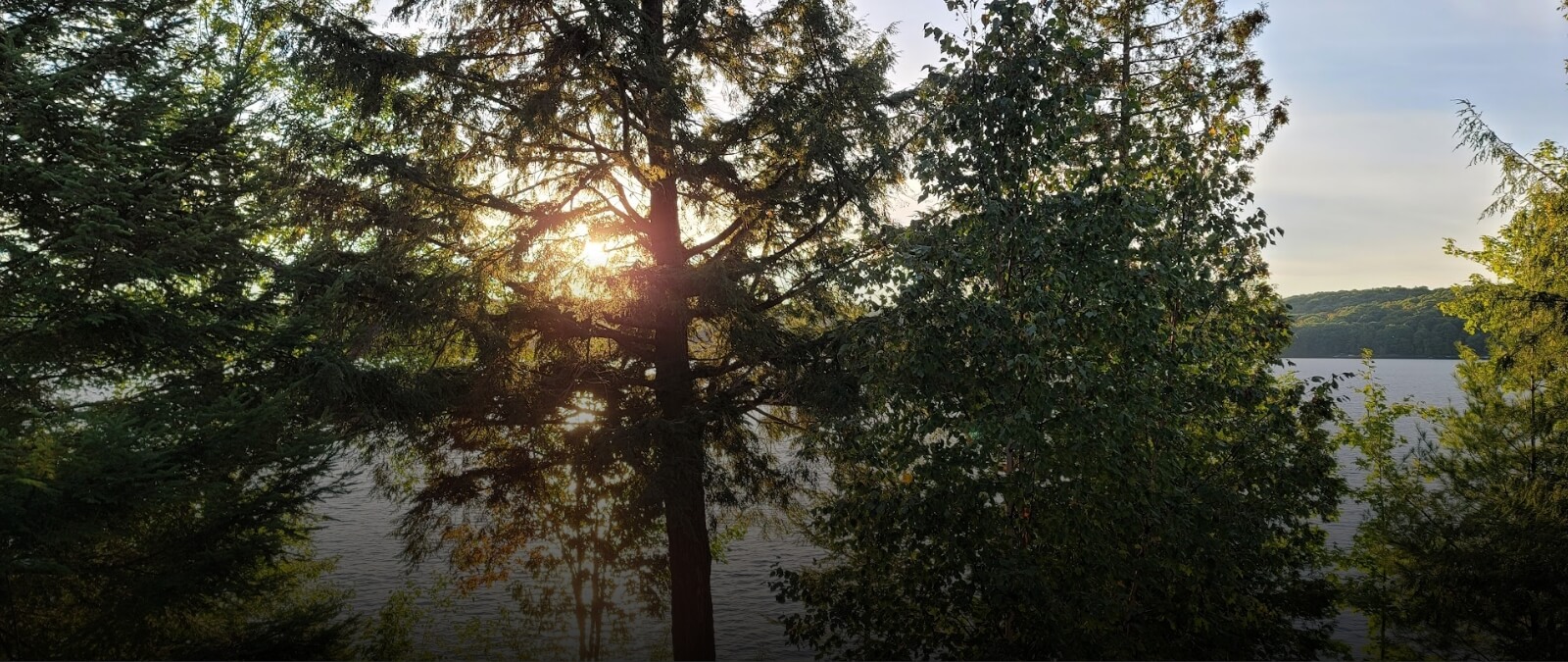 sunset on a lake viewed though tree branches